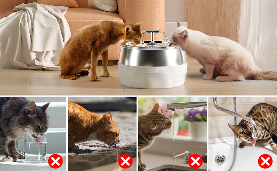 3L Automatic Electric Pet Water Fountain | Stainless Steel Feeder Bowl Dispenser, White
