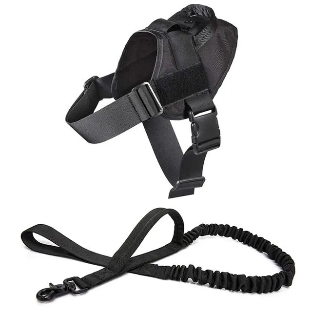 Adjustable Dog Harness