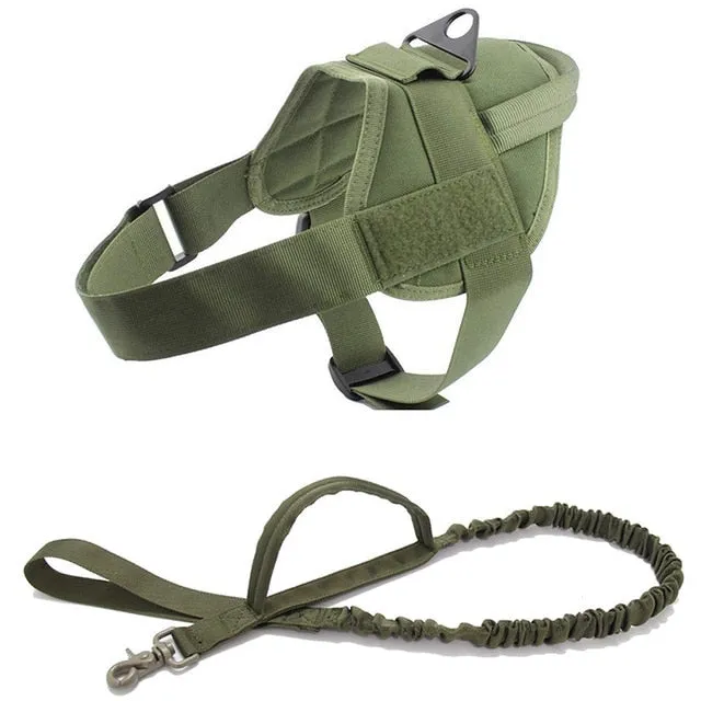 Adjustable Dog Harness