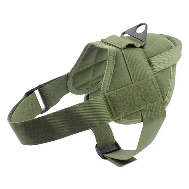 Adjustable Dog Harness