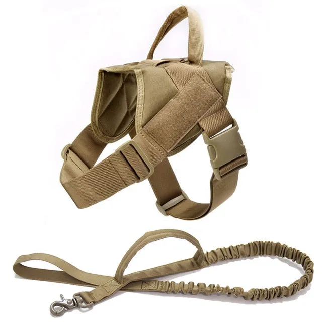 Adjustable Dog Harness