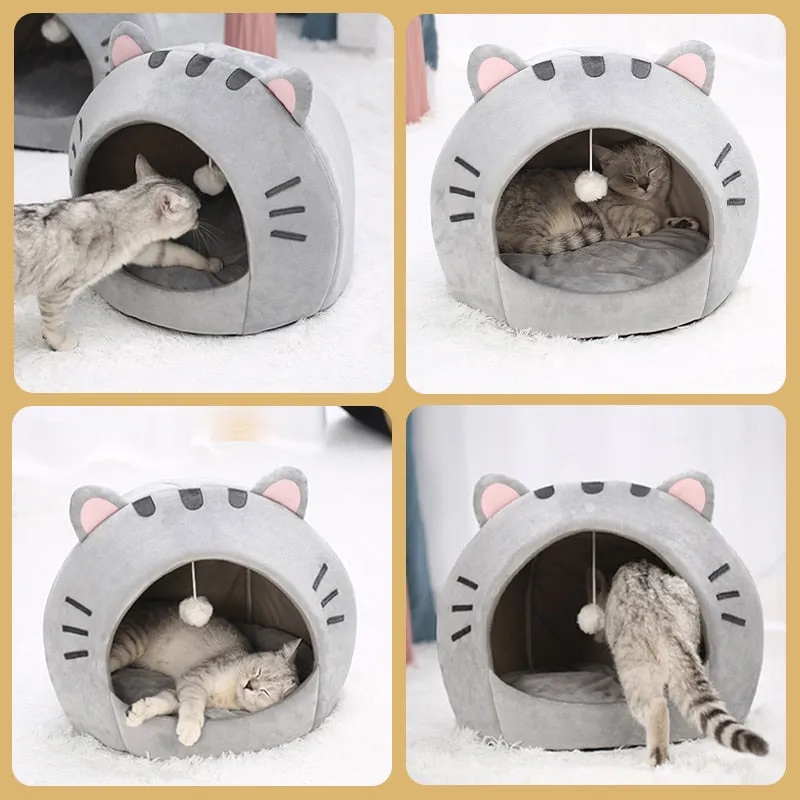 Adorable Cat Mouth Theme Pet House
