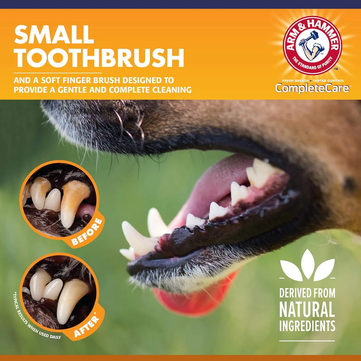 Arm & Hammer Complete Care Puppy Essentials Dental Kit - Includes Small Dog Toothbrush and Toothpaste for Puppies, 2.5 Oz in Peanut Butter Flavor, & Microfiber Finger Brush - Ideal for Fresh Breath
