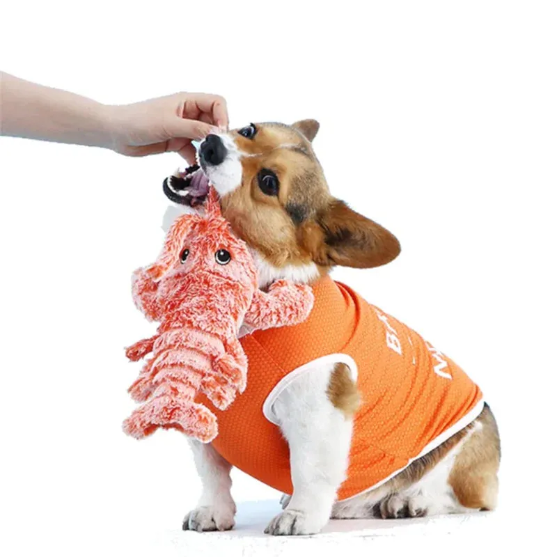 Automatic Flopping Lobster Pet Toy