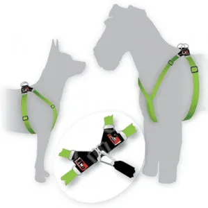 Black Dog Wear Dog Harness