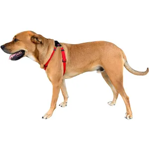 Black Dog Wear Dog Harness