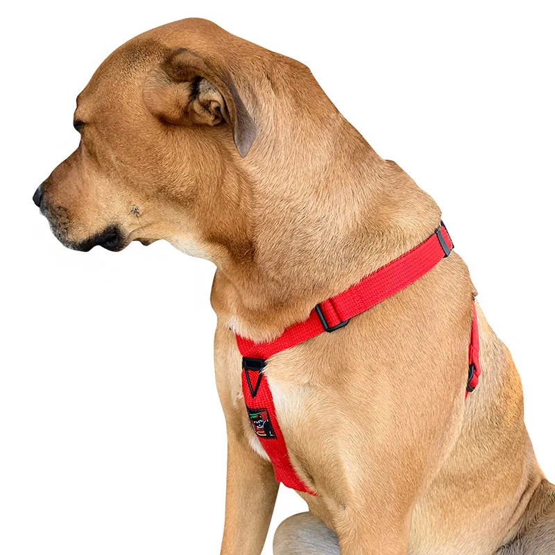 Black Dog Wear Dog Harness