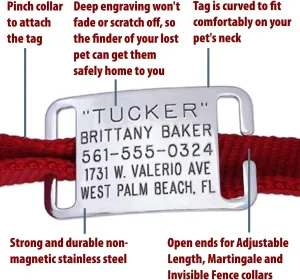 Boomerang Tags Cat Tag - Small Dog Tag, Will Last Your Pets Lifetime - Cat Tags Personalized Small, Engraved Stainless Steel Silent, ID Tag (Open End X-Small for 3/8 or 1/2 Inch Snap Style Collar)