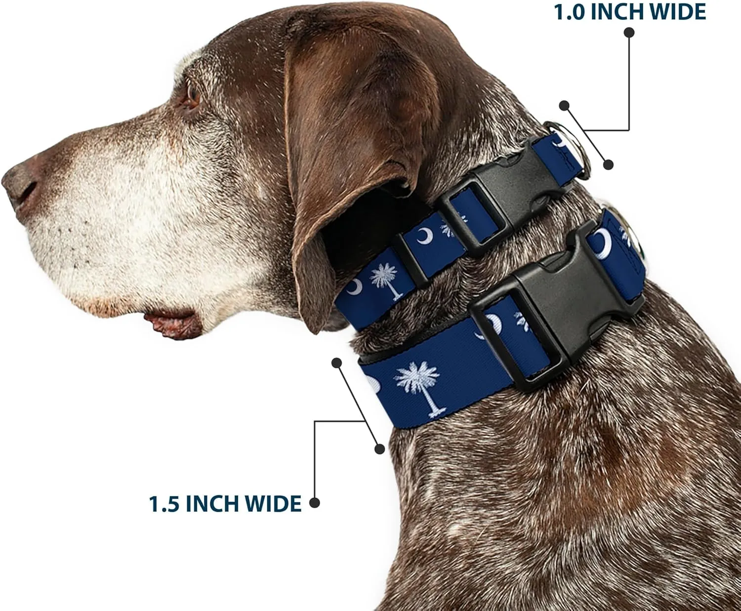 Buckle-Down 9-15" South Carolina Flags Plastic Clip Collar, Narrow Large