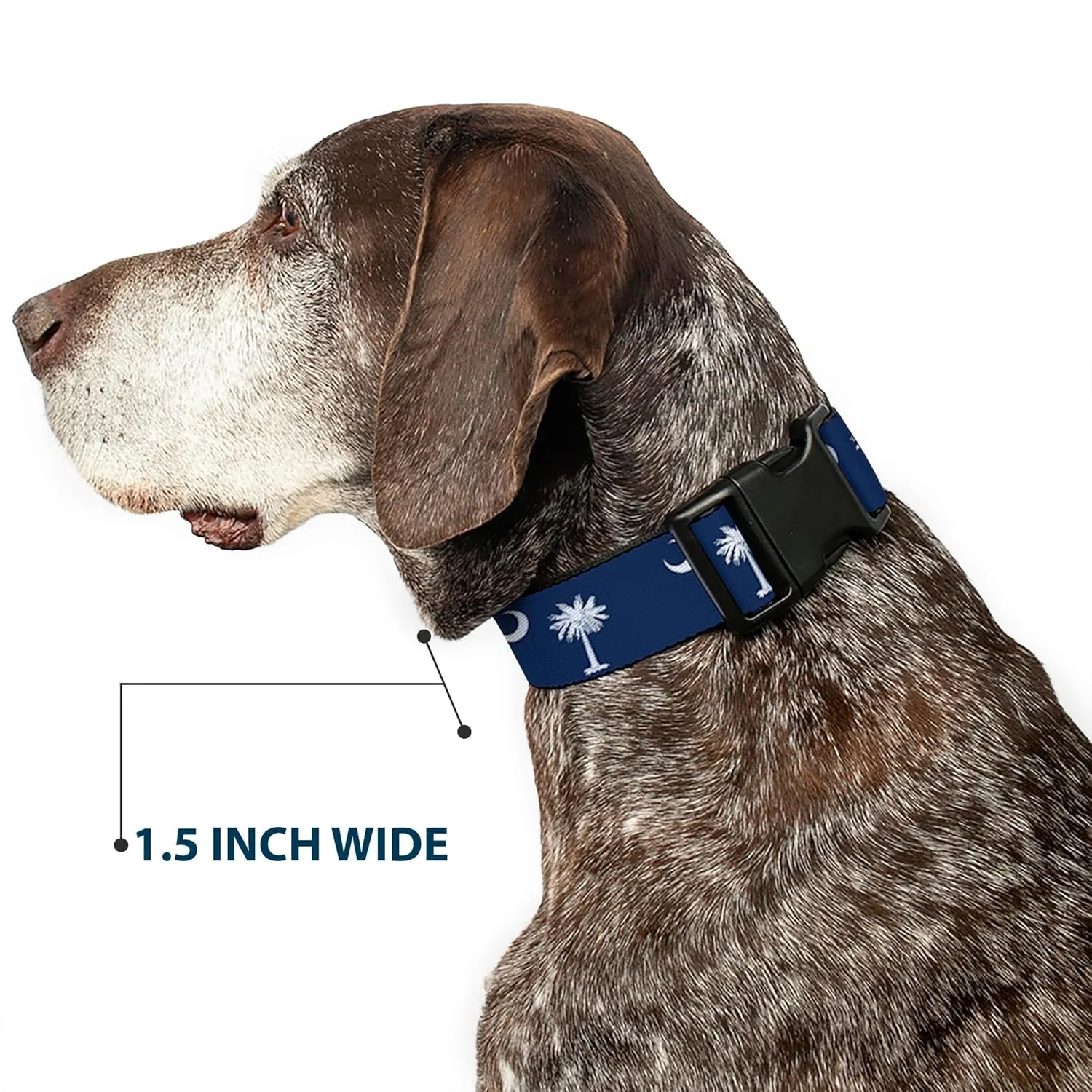 Buckle-Down 9-15" South Carolina Flags Plastic Clip Collar, Narrow Large
