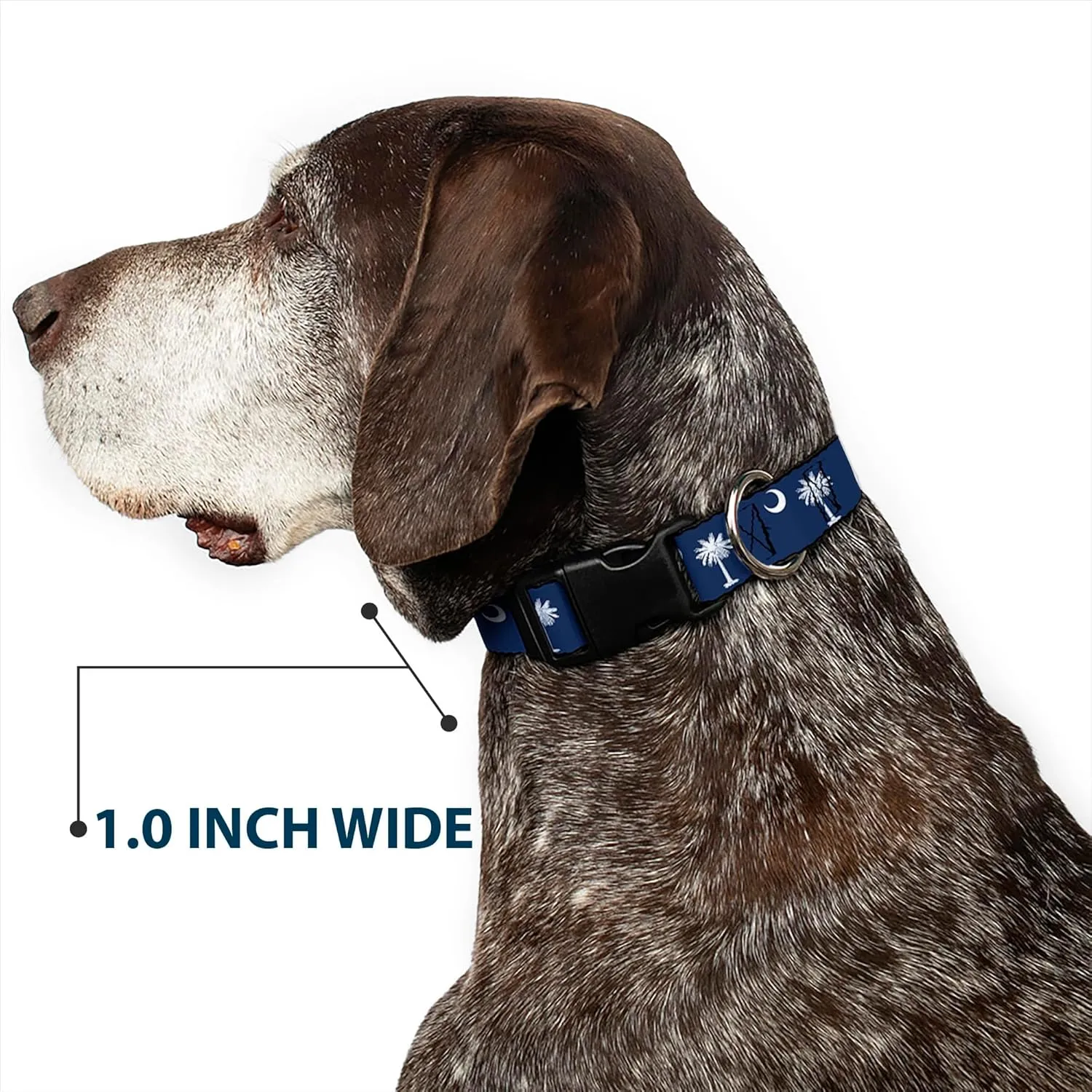 Buckle-Down 9-15" South Carolina Flags Plastic Clip Collar, Narrow Large