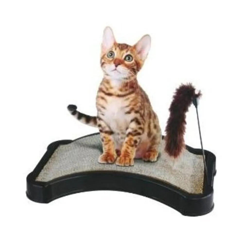Cat Scratchy - The Ultimate Scratching Surface