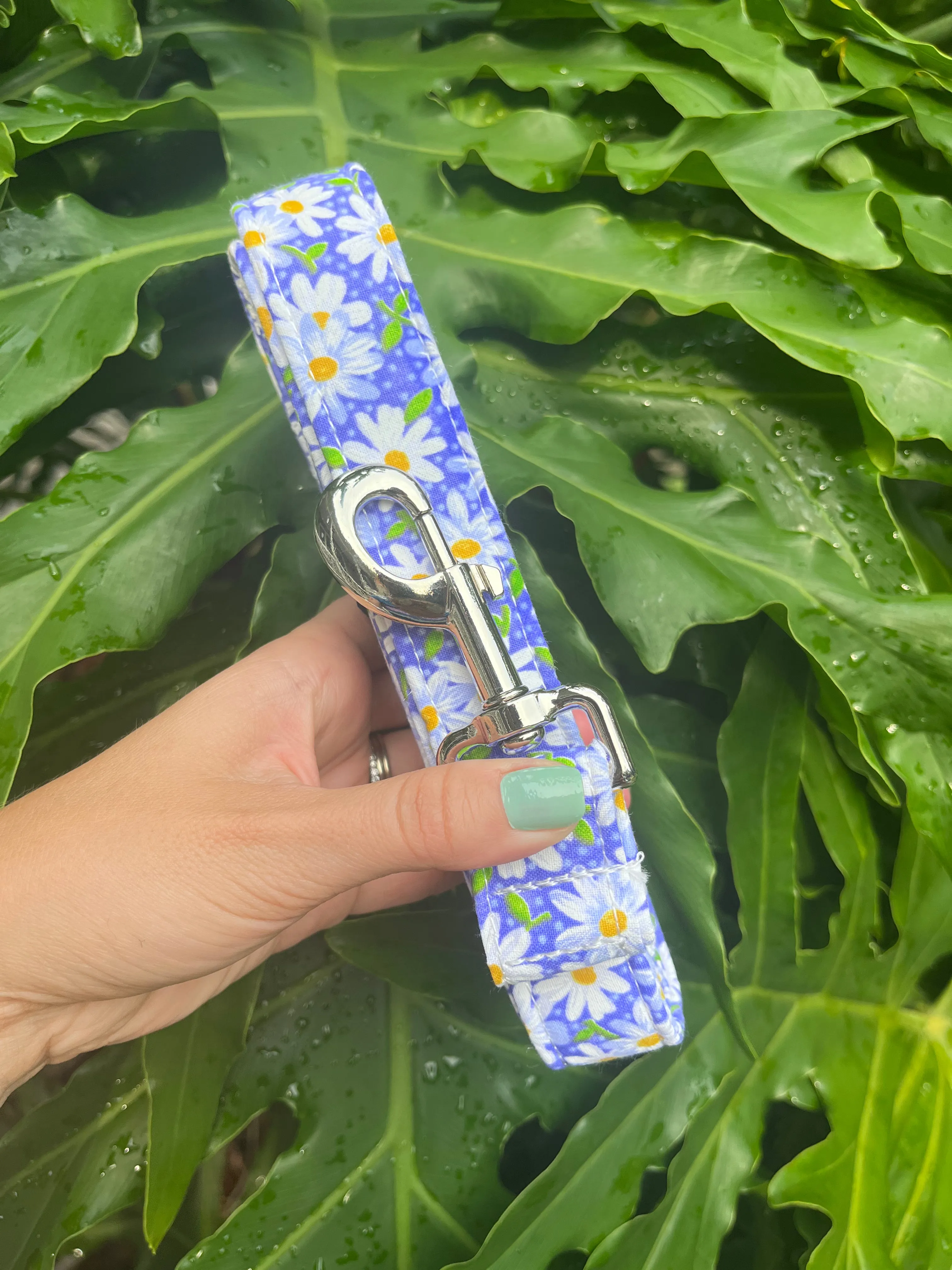 Daisy Dog Leashes
