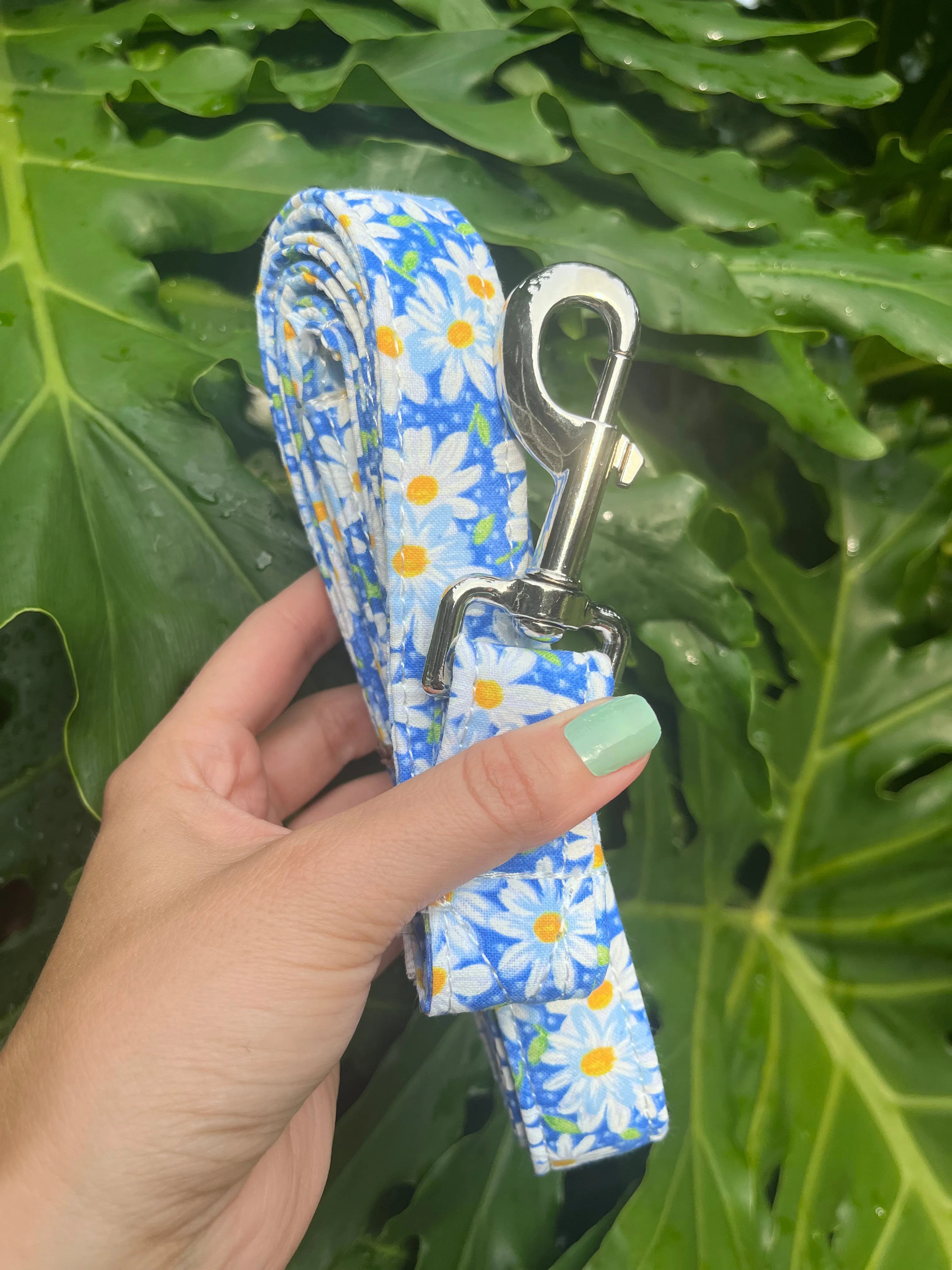 Daisy Dog Leashes