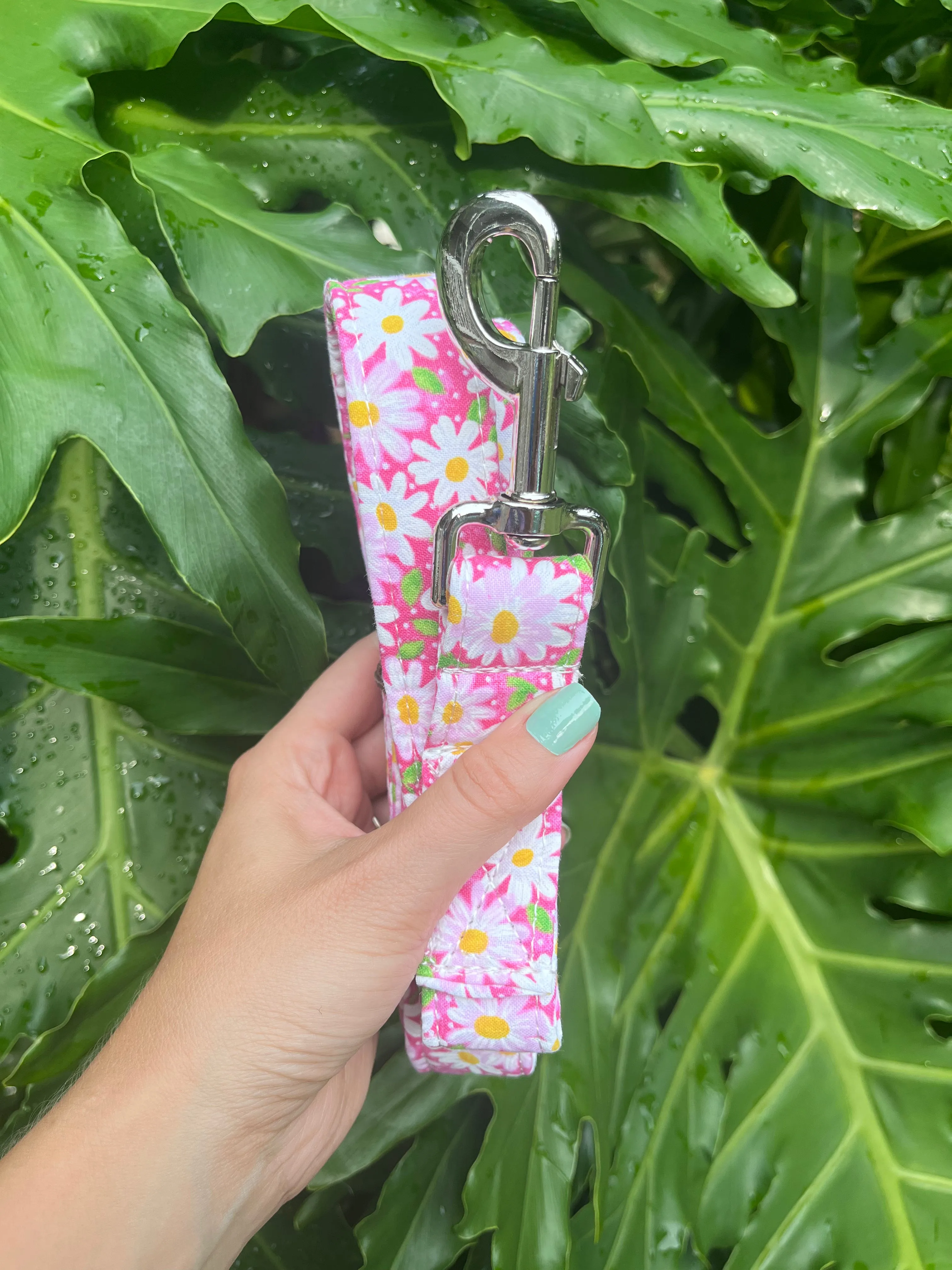 Daisy Dog Leashes