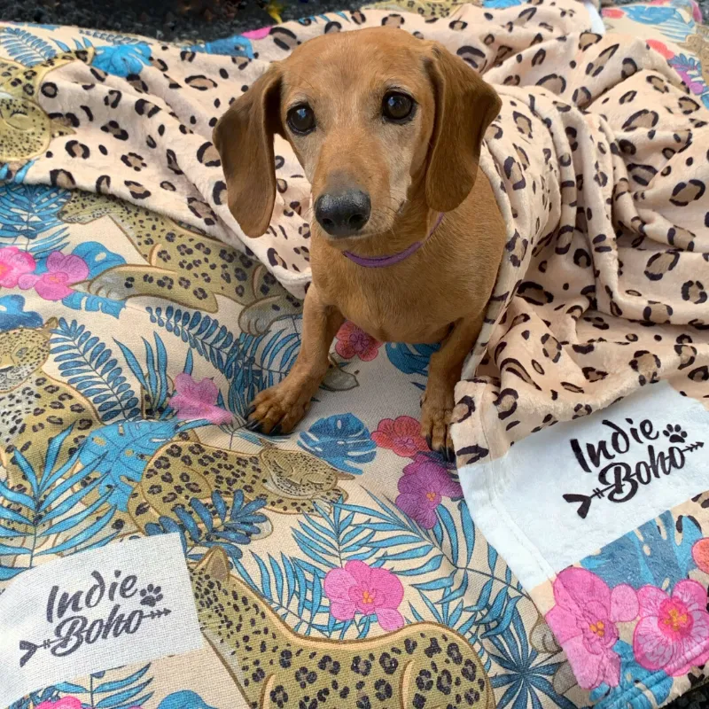 Designer Pet Blanket | Leopard Luxe