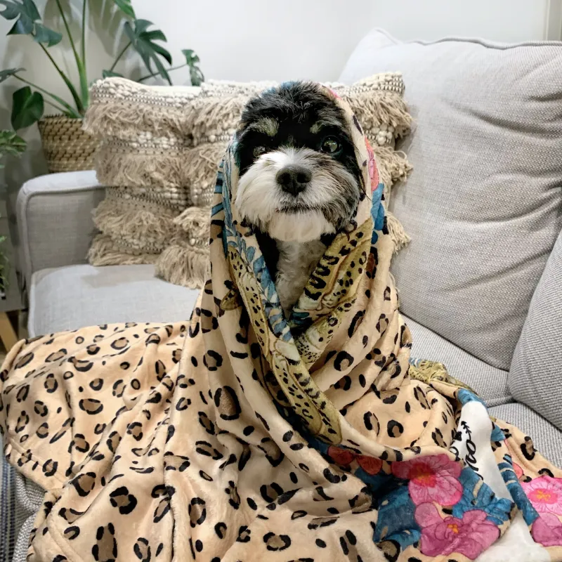 Designer Pet Blanket | Leopard Luxe