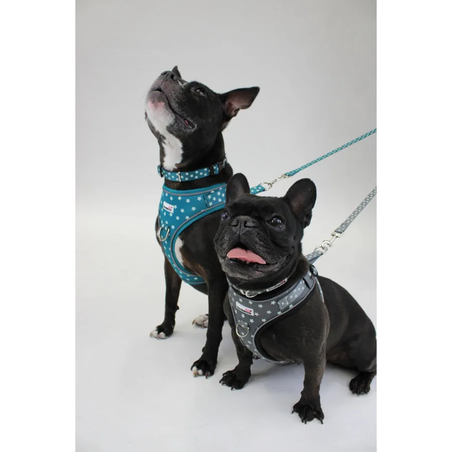 Doodlebone - Adjustable Airmesh Pattern Harness - Abstract - Size 3-5