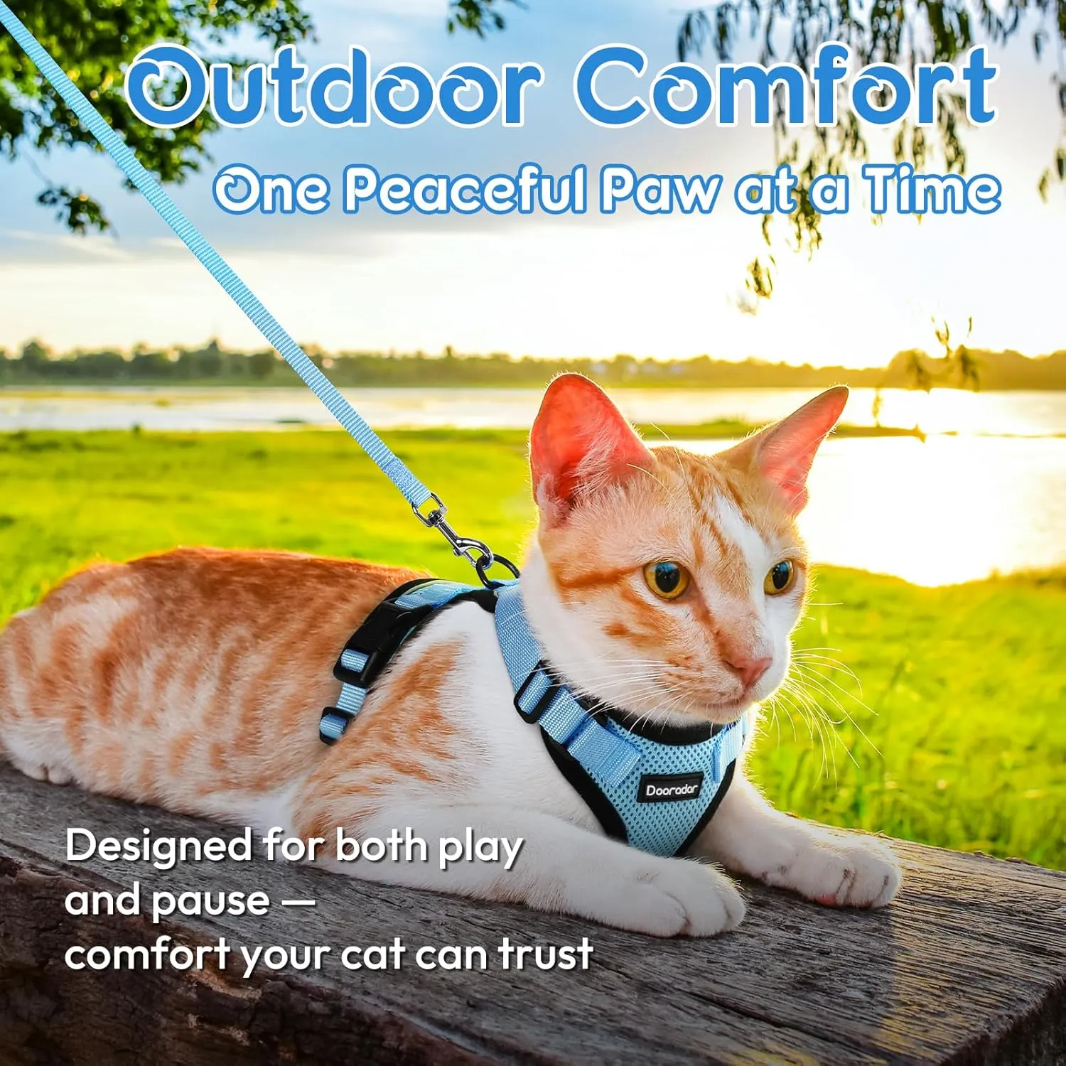 Dooradar Cat Harness and Leash Set, Escape Proof Safe Adjustable Kitten Vest Harnesses for Walking, Easy Control Soft Breathable Mesh Jacket with Reflective Strips for Cats, Light Blue, M