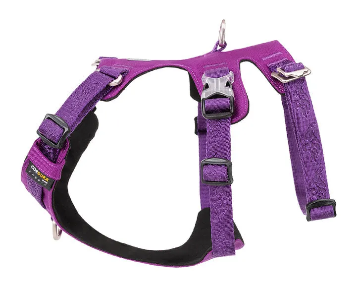 Escape Proof Waterproof Dog Harness 2XS, Reflective, Whinhyepet