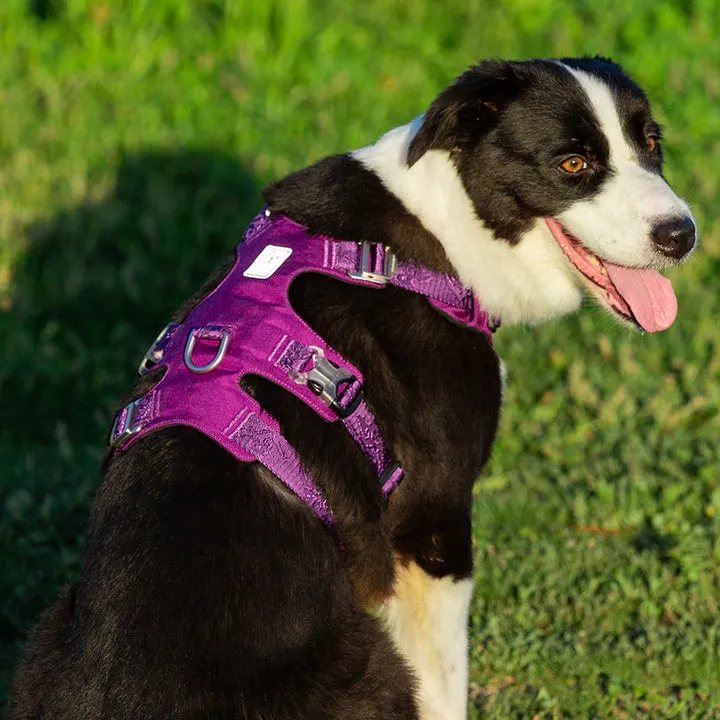 Escape Proof Waterproof Dog Harness 2XS, Reflective, Whinhyepet