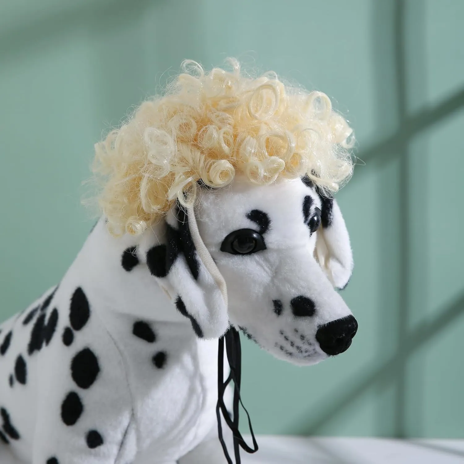 Funny Dog Cat ,,,,,,,()