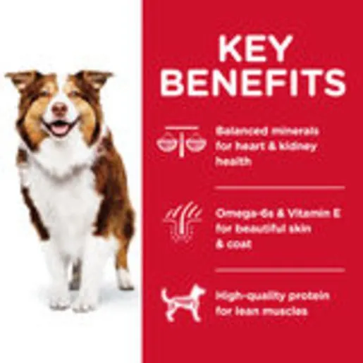 Hill's Science Diet Senior Adult Dog 7 