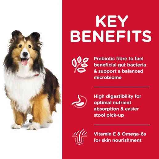 Hill's Science Diet Sensitive Skin & Stomach Adult Dog