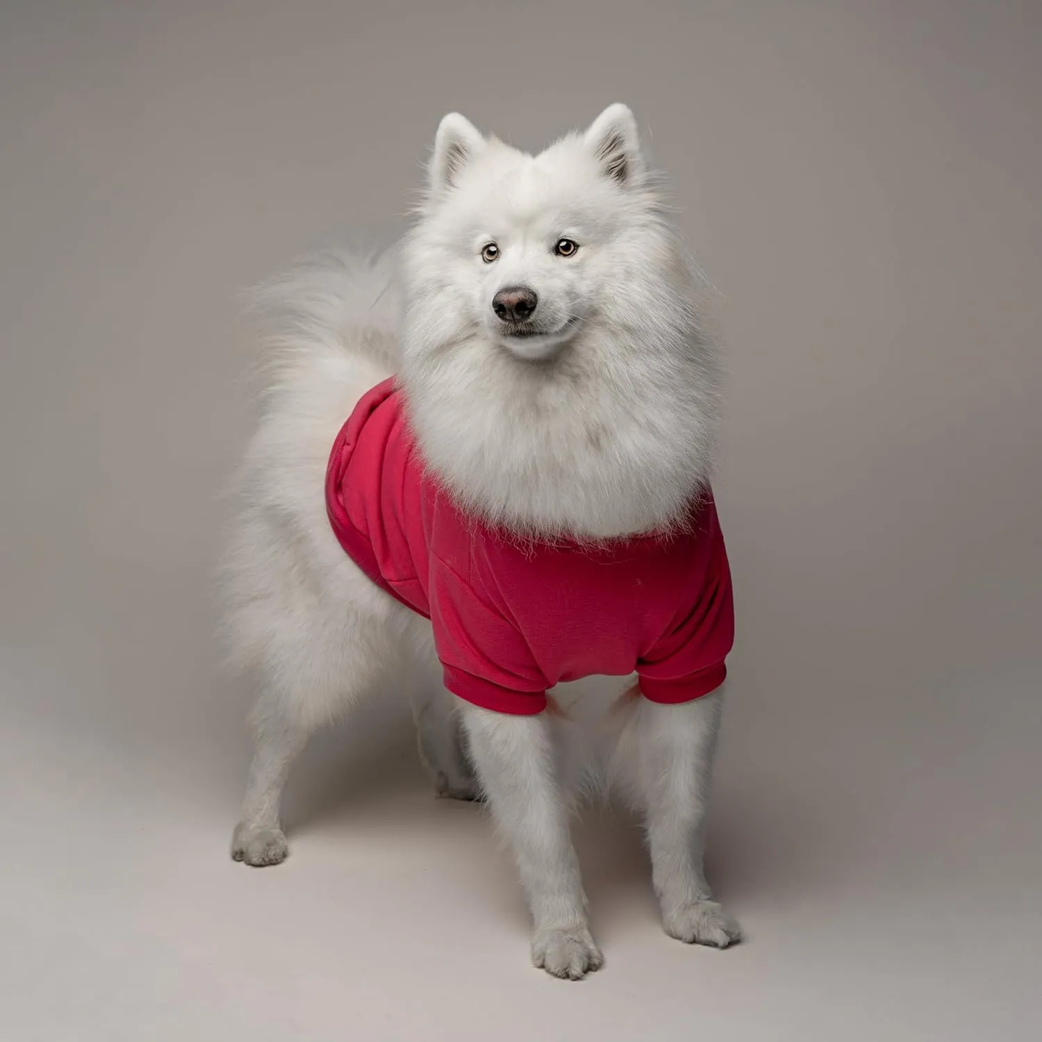 I Love My Moms (Two) Mother's Day Dog Hoodie | Fleece Lined |Leash Hole| Pride Day | LGBTQ  | Rainbow | Parade|Hot Pink, Medium 175