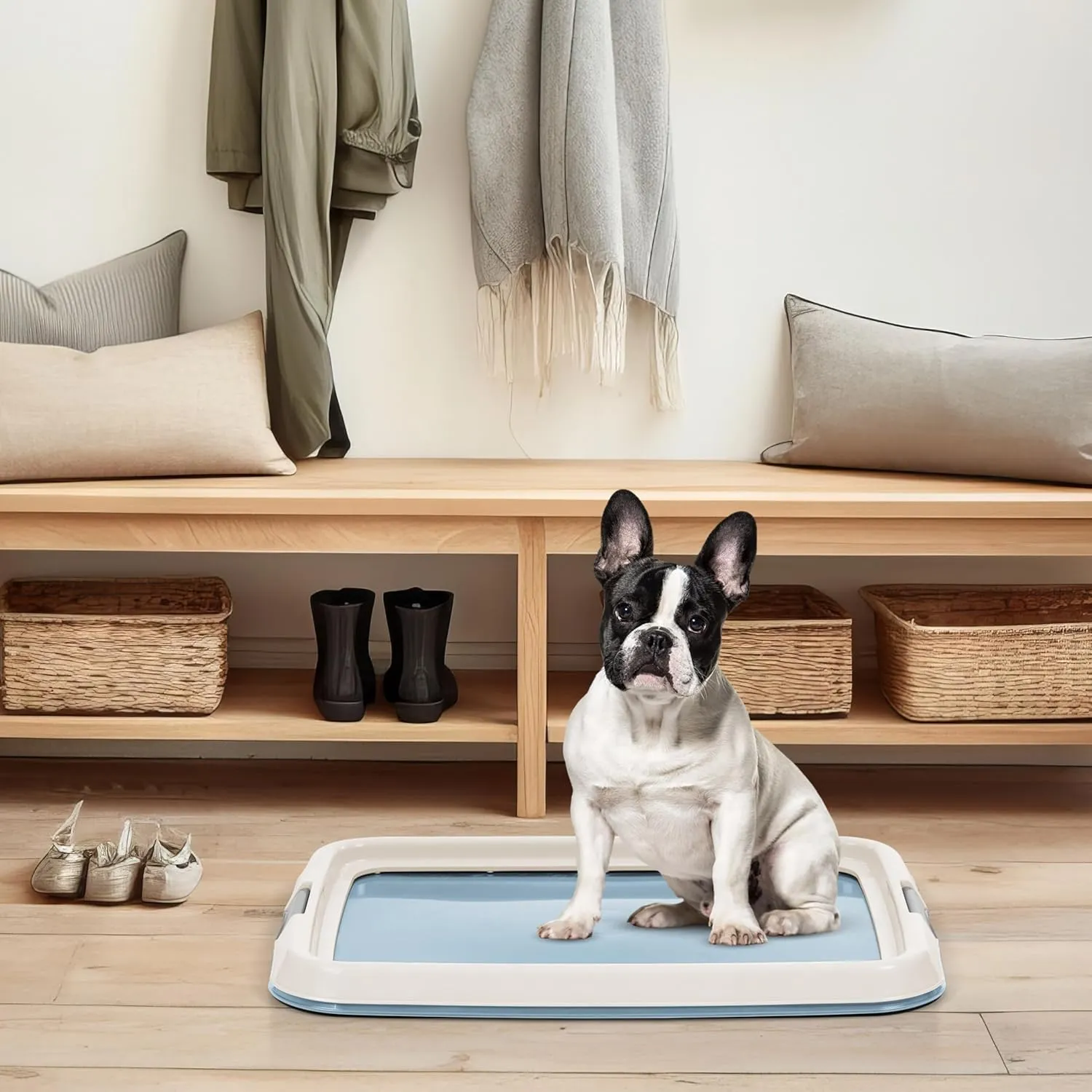 IRIS USA Pee Pad Holder - For Small Sized Dog and Puppy Pee Pads, Secured Latches, Non-Skid Feet, High Polish Finish for Easy Cleaning, Leak Protection, Fits 17"x23" Pad, Blue