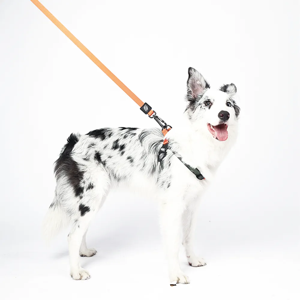 M-PETS Wild Jungle Leash Regular