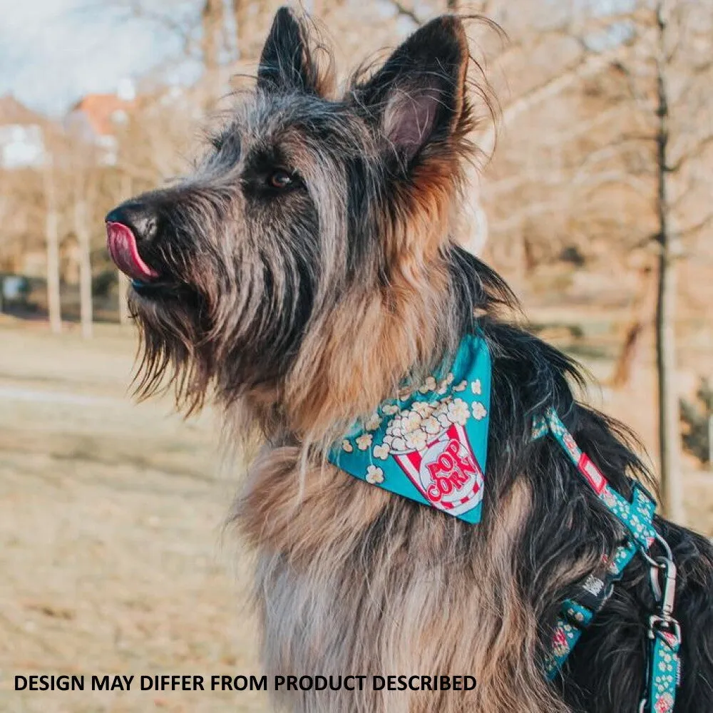 Max & Molly Bandana for Cats & Dogs - Ducklings