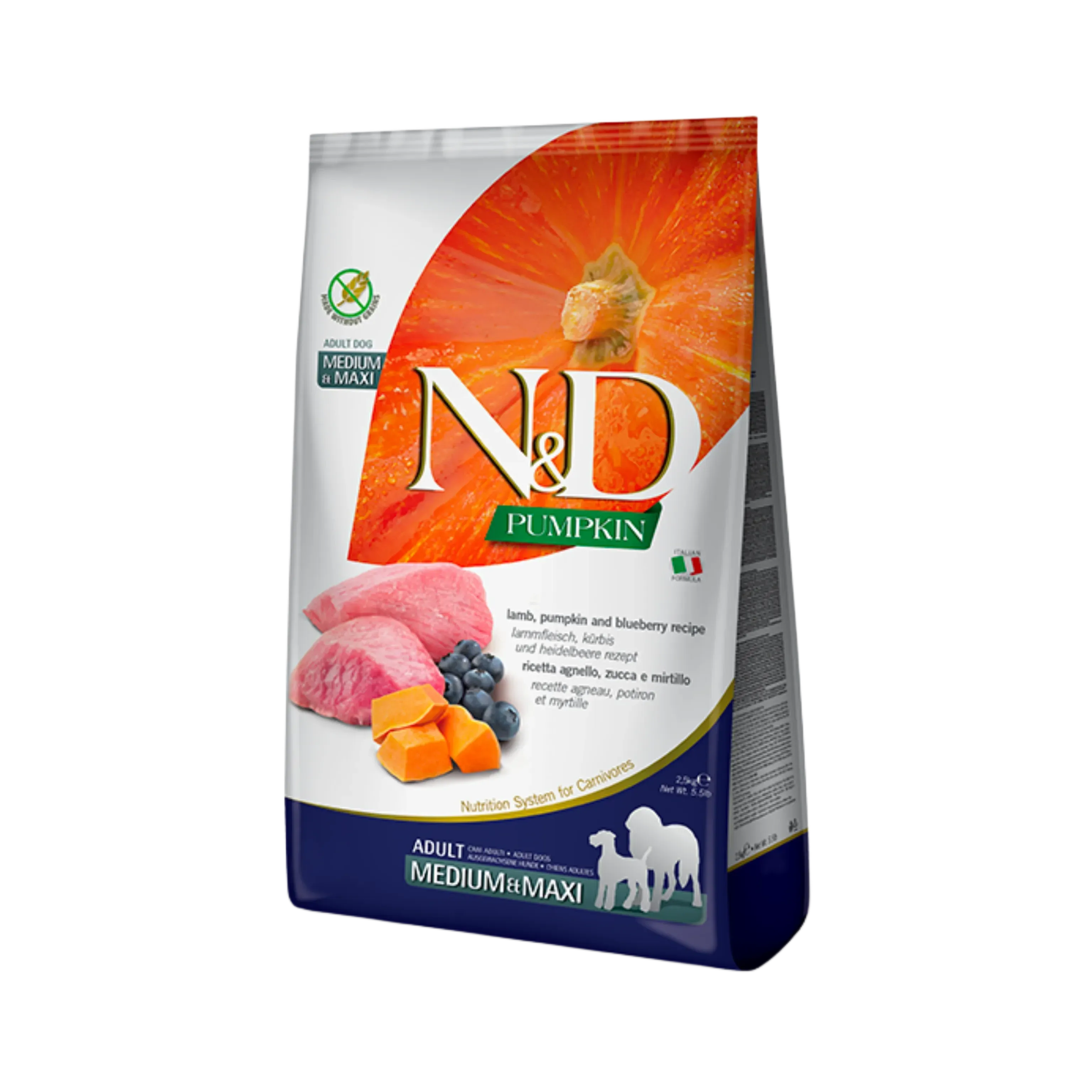 N&D GF LAMB ADU MAXI DRY FOOD (M)