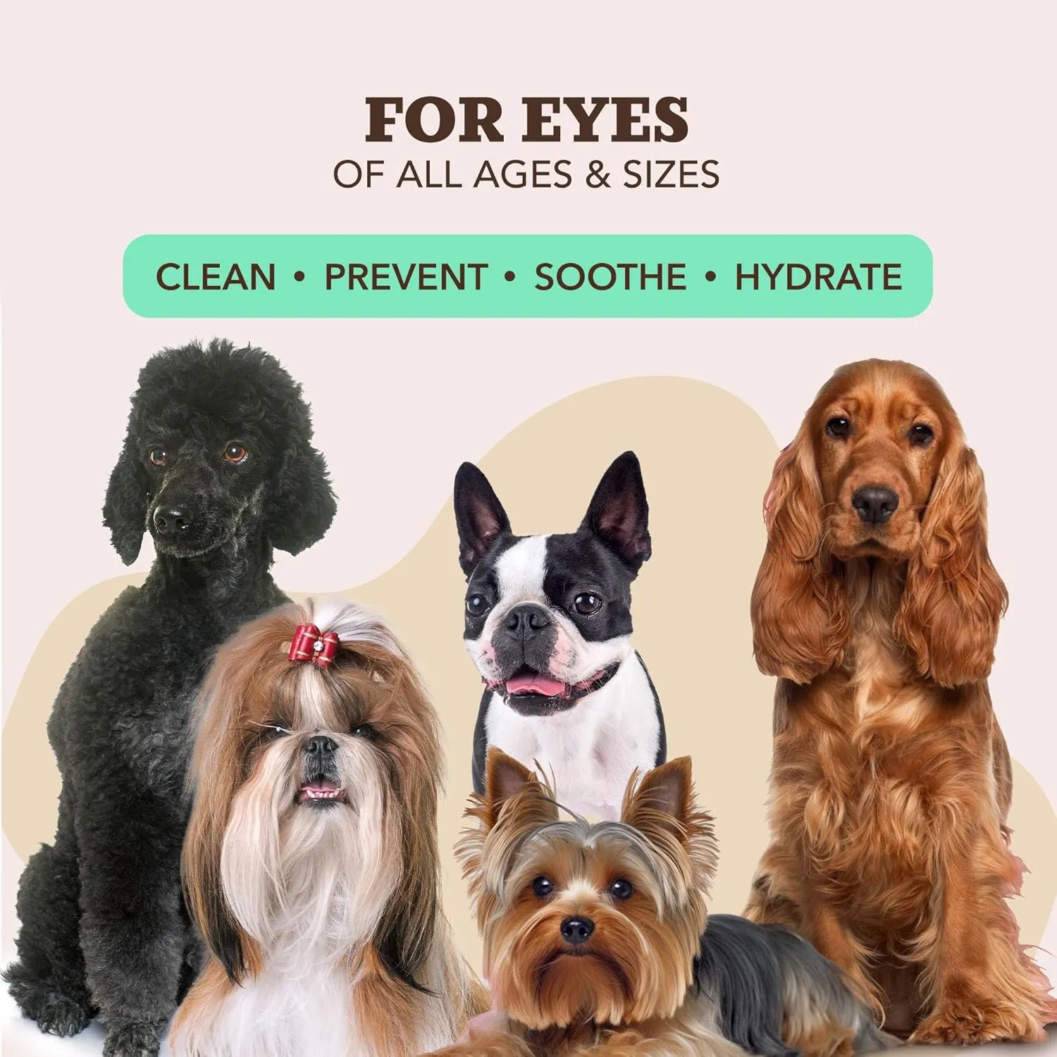 Natural Dog Company Grooming Wipes with Aloe Vera, Cleanses, Soothes, & Deodorizes, Fragrance Free, Hypoallergenic, Biodegradable Wipes - Dog Wipes for Ear, Paws, Face and Butt Wipes (200 Wipes)