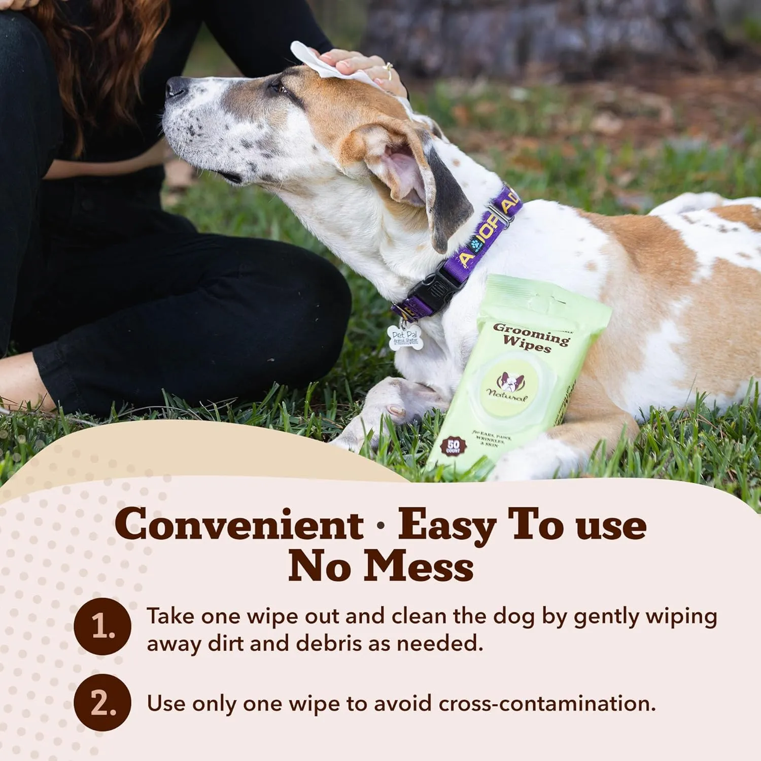 Natural Dog Company Grooming Wipes with Aloe Vera, Cleanses, Soothes, & Deodorizes, Fragrance Free, Hypoallergenic, Biodegradable Wipes - Dog Wipes for Ear, Paws, Face and Butt Wipes (200 Wipes)