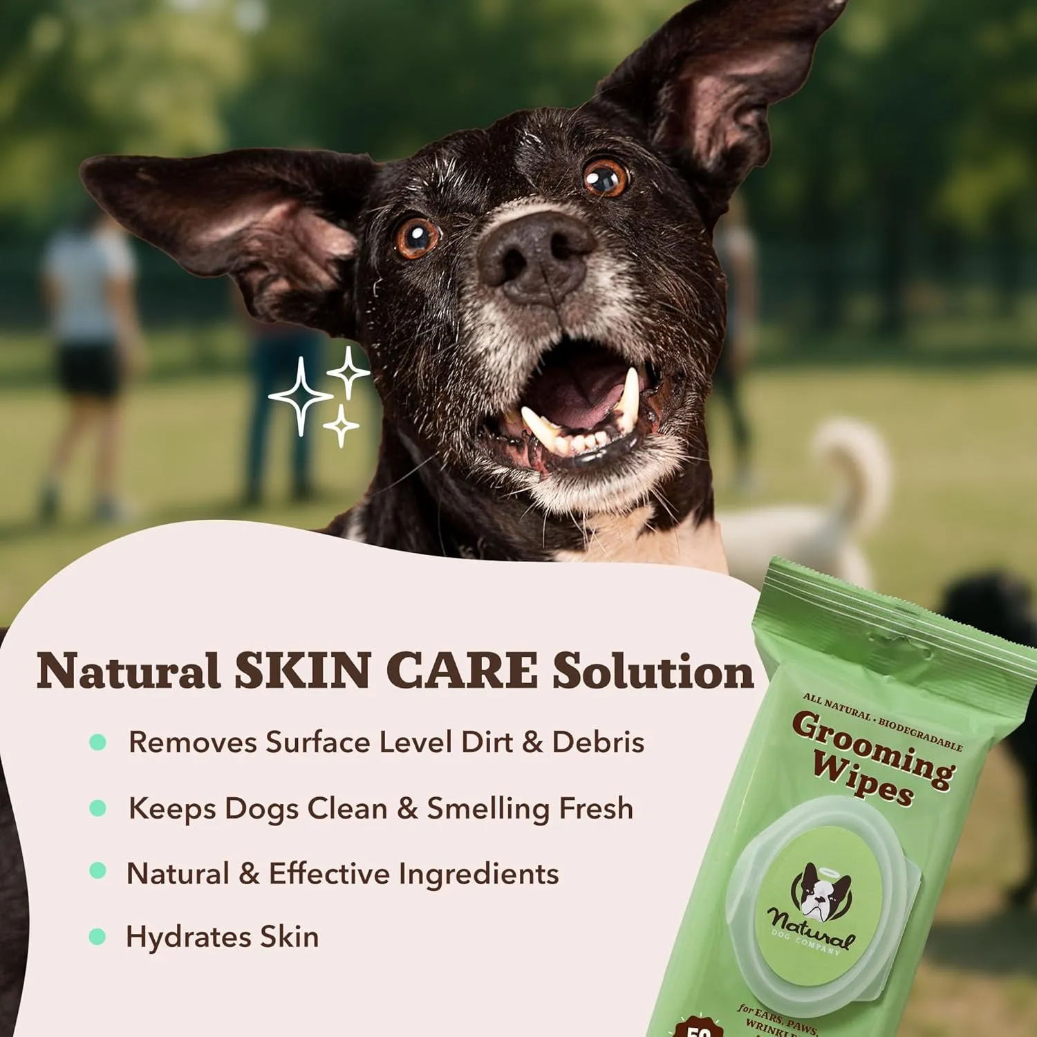 Natural Dog Company Grooming Wipes with Aloe Vera, Cleanses, Soothes, & Deodorizes, Fragrance Free, Hypoallergenic, Biodegradable Wipes - Dog Wipes for Ear, Paws, Face and Butt Wipes (200 Wipes)