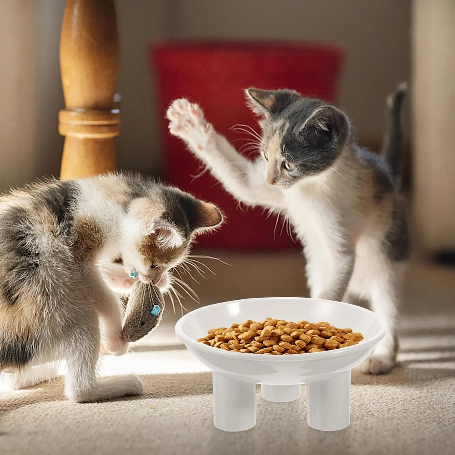 NOLITOY Raised Cat Food Bowl Wide Shallow Cat Food Dish Elevated Cat Bowls Pet Feeder Waterer Slow Feed Bowls for Food and Water