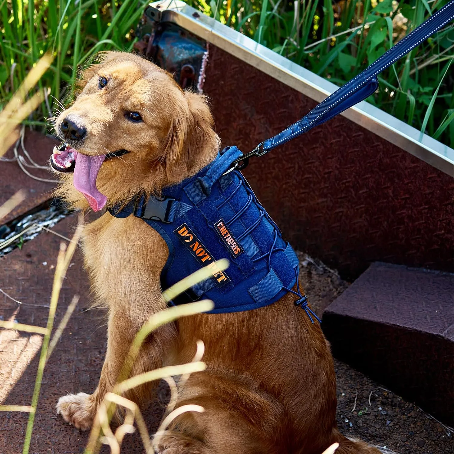 OneTigris Handled No-Pull Dog Walking Leash Long Traffic Leads for Medium to Large Dogs (Blue, 6FT)