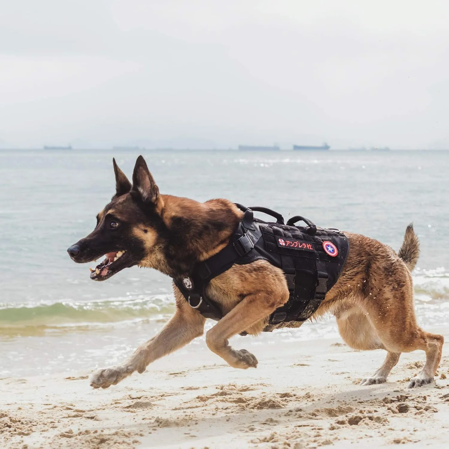 OneTigris Large Tactical Dog Harness, No Pulling Adjustable Dog Vest Harness, Heavy Duty Dog Harness with Handle, Large Hook and Loop Panels for Patch Black