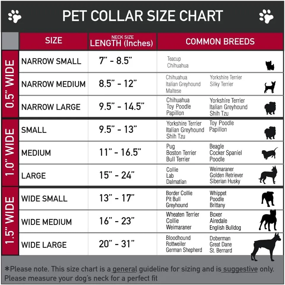 Peanuts Worldwide LLC Pet Collar, Dog Collar Plastic Buckle, Peanuts Charlie Brown Zig Zag Stripe Pink Black, 16 to 23 Inches 1.5 Inch Wide
