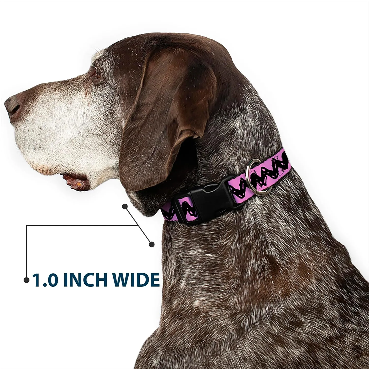 Peanuts Worldwide LLC Pet Collar, Dog Collar Plastic Buckle, Peanuts Charlie Brown Zig Zag Stripe Pink Black, 16 to 23 Inches 1.5 Inch Wide