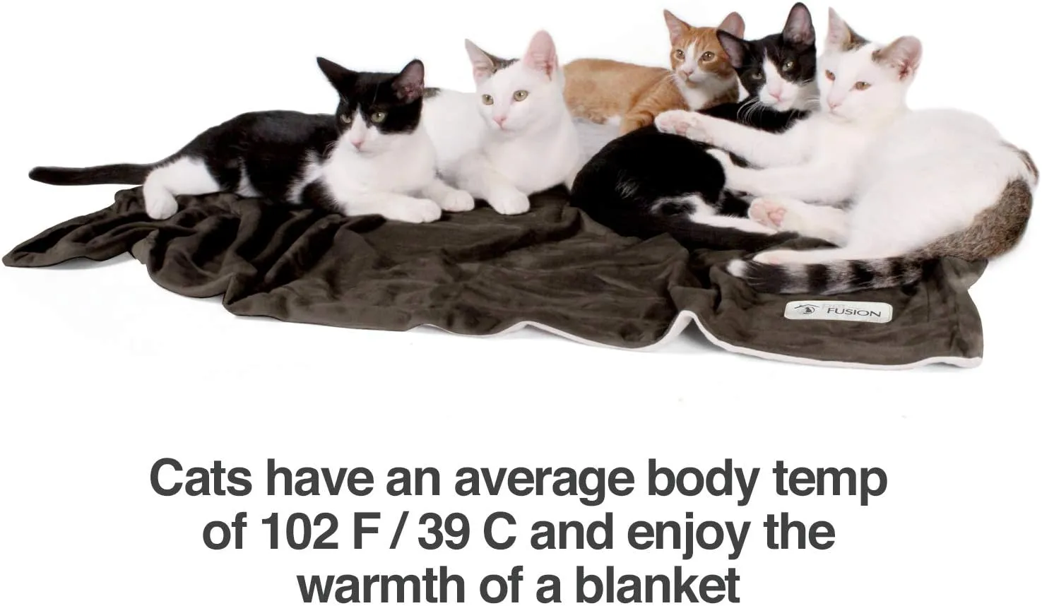 Pet Fusion - Micro Plush Blanket - Large (152 x 122cm)