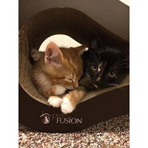 PetFusion Ultimate Cat Scratcher Lounge. [Superior Cardboard & Construction]. Beware 'Cheaper copycats' with 'unverified' Reviews