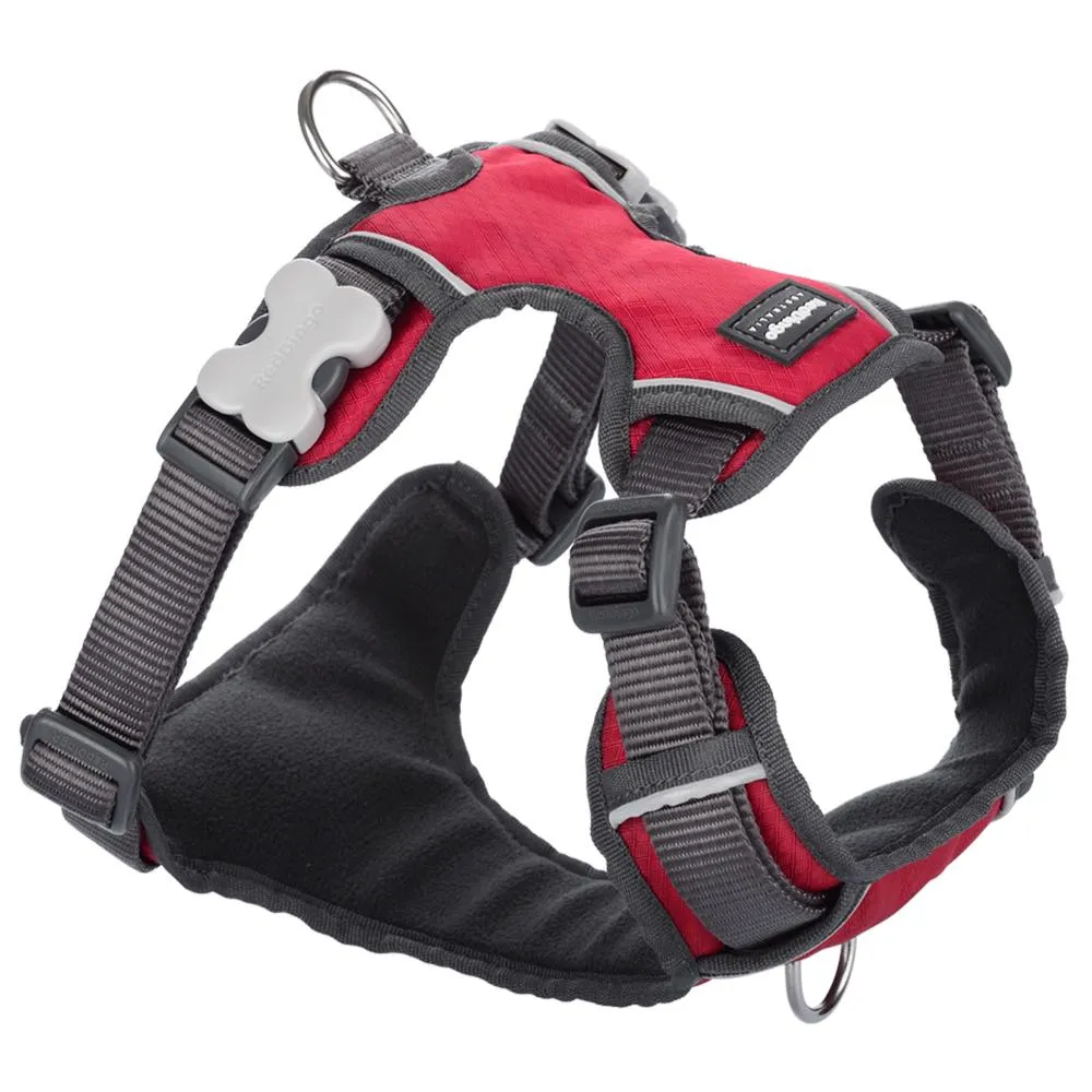 Red Dingo Padded Dog Harness (Extra-Large)