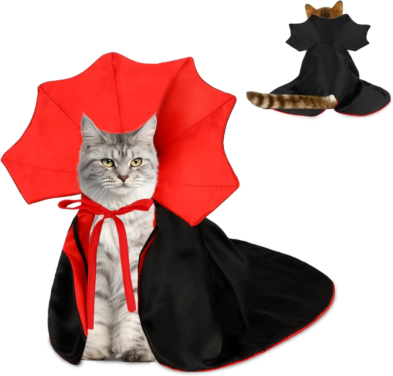 Rypet Cat 