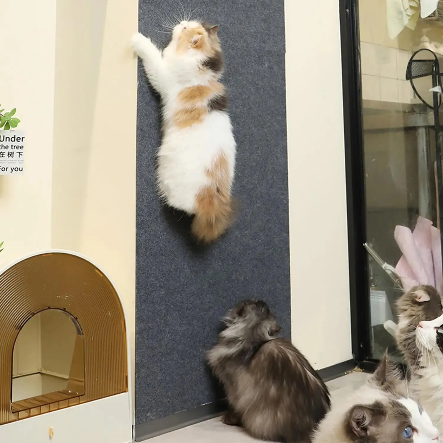 Self-Adhesive Cat Scratching Mat