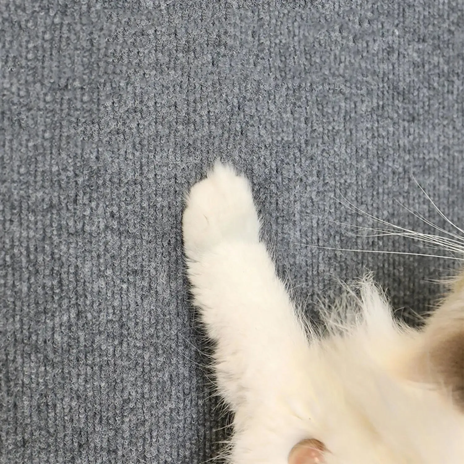 Self-Adhesive Cat Scratching Mat