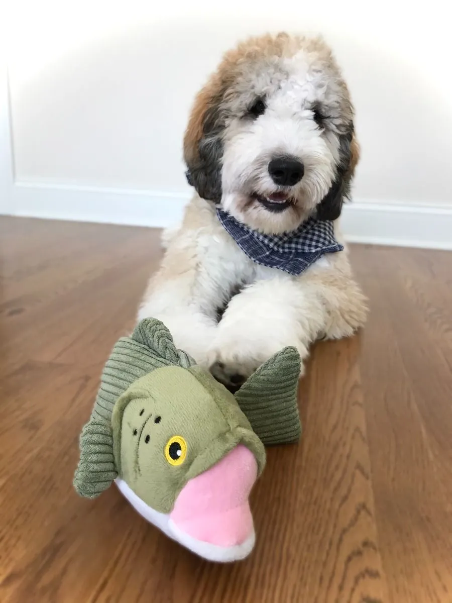 Tall Tails Dog Toy Animated Bass