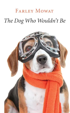 The Dog Who Wouldn't Be   2017 11 1