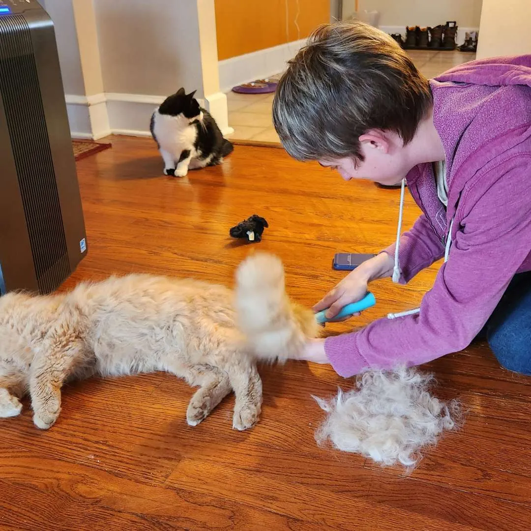 Uproot Cleaner Kits™